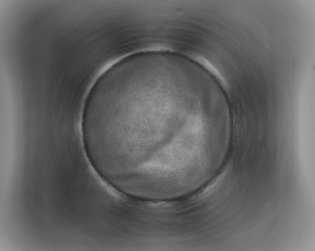 X0000113290943200909281009