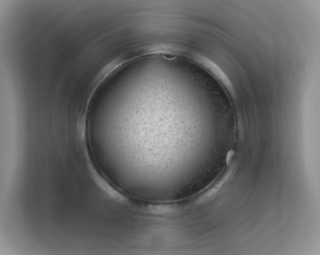 X0000113290946200909281009