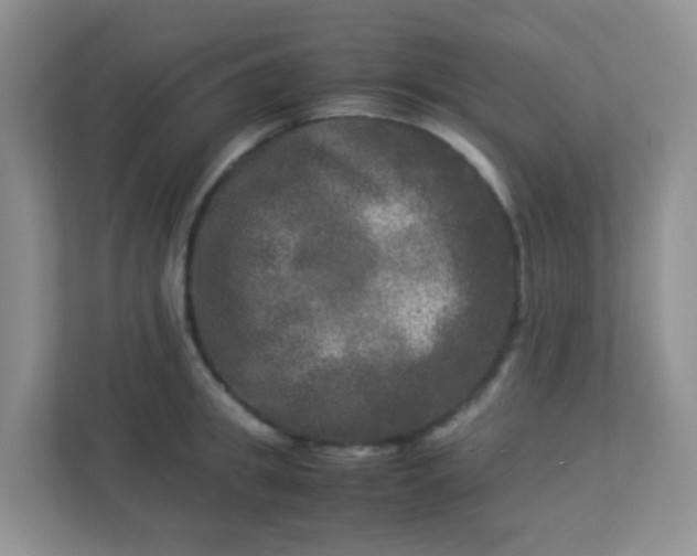 X0000113290949200909281009