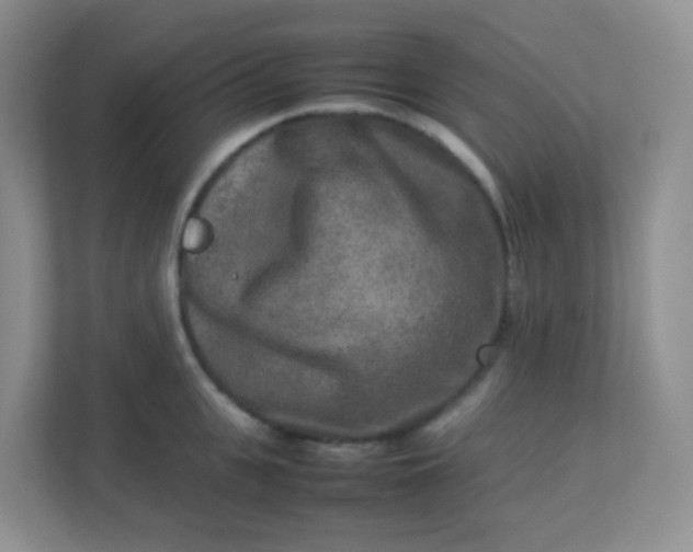 X0000113290951200909281009