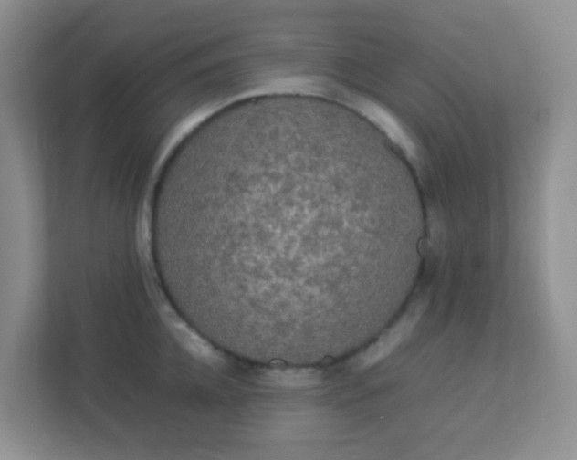 X0000113290952200909281009