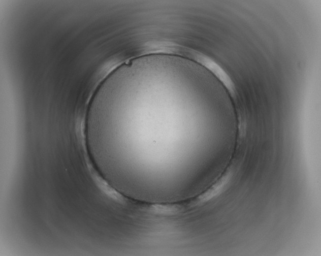 X0000113290954200909281009