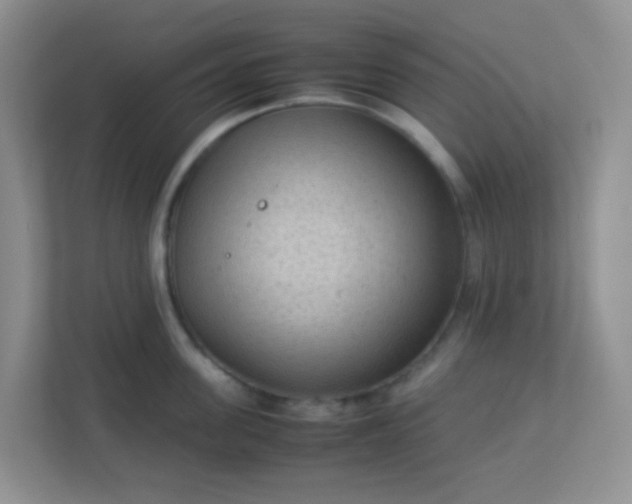 X0000113290955200909281009