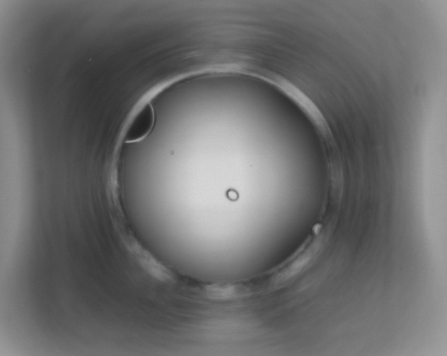 X0000113290956200909281009