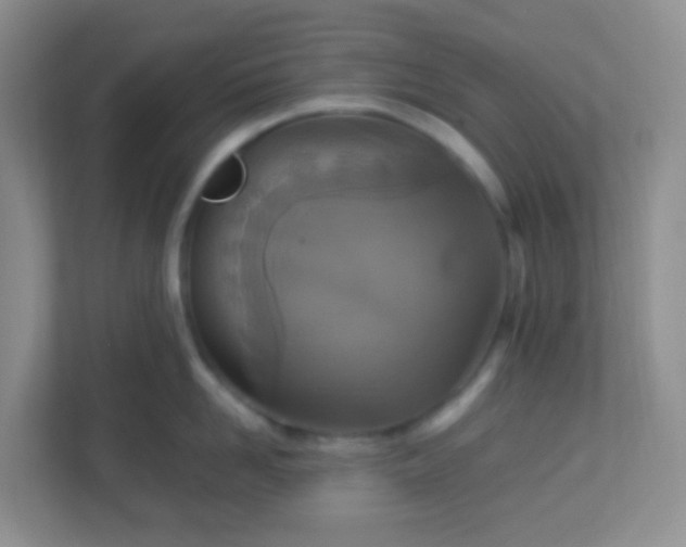 X0000113290958200909281009