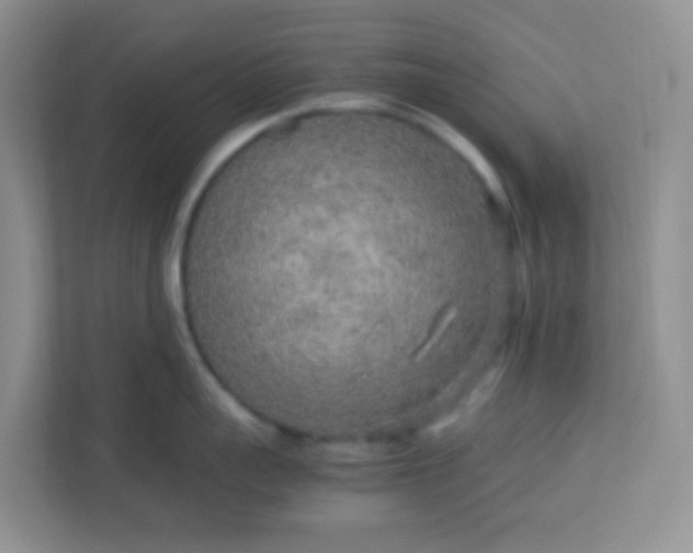 X0000113290959200909281009