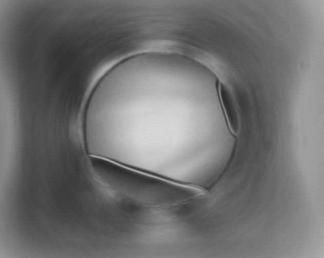 X0000113290960200909281009