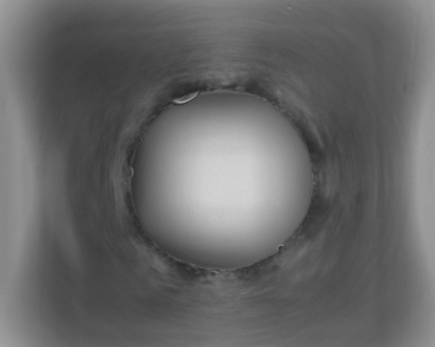 X0000113290961200909281009