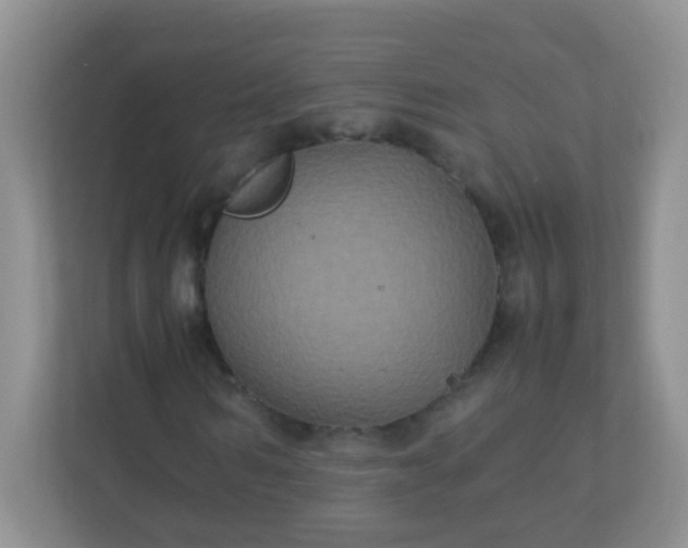 X0000113290962200909281009