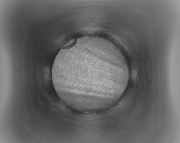 X0000113290964200909281009