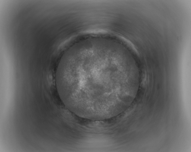 X0000113290966200909281009