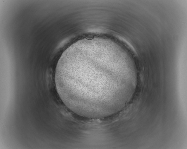 X0000113290968200909281009