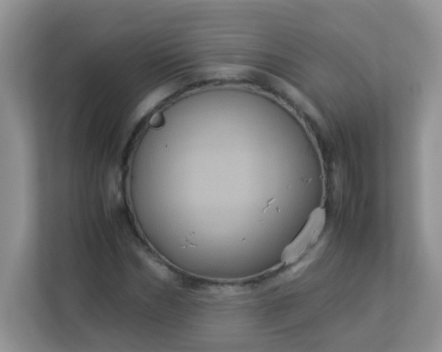 X0000113290970200909281009