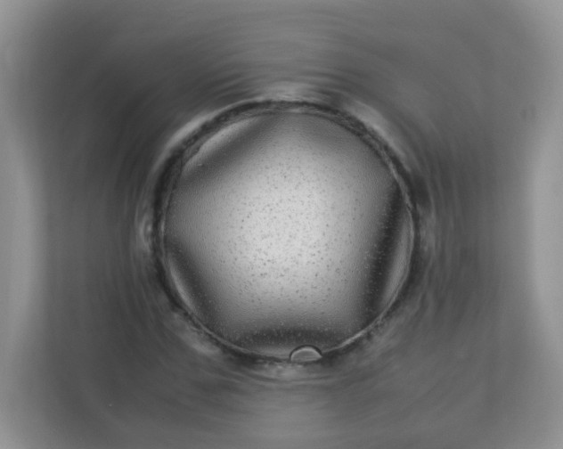 X0000113290971200909281009