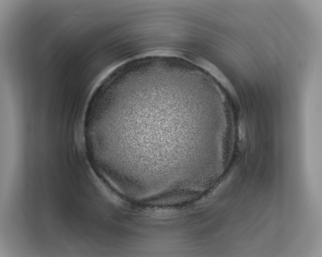 X0000113290972200909281009