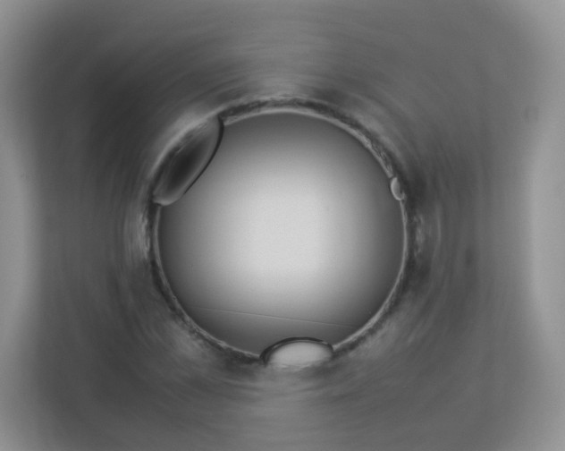 X0000113290973200909281009