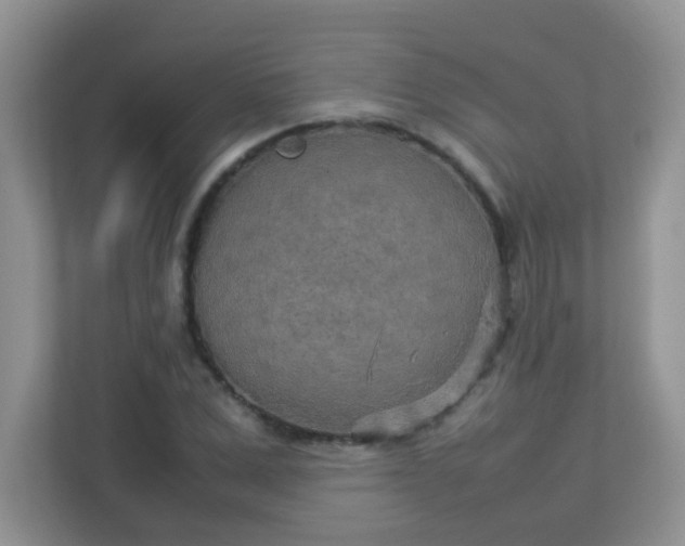 X0000113290975200909281009