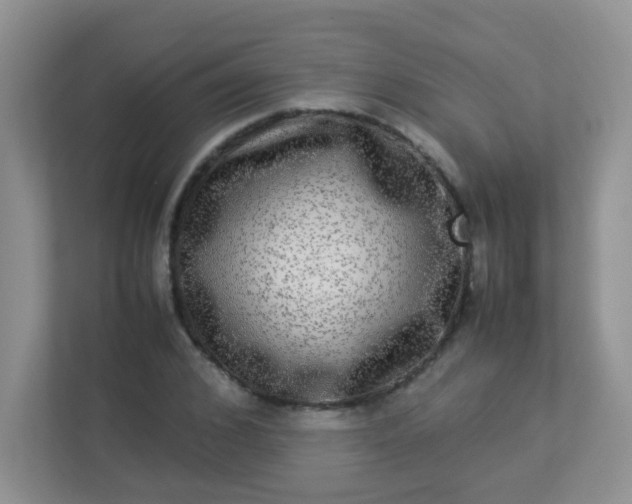 X0000113290976200909281008