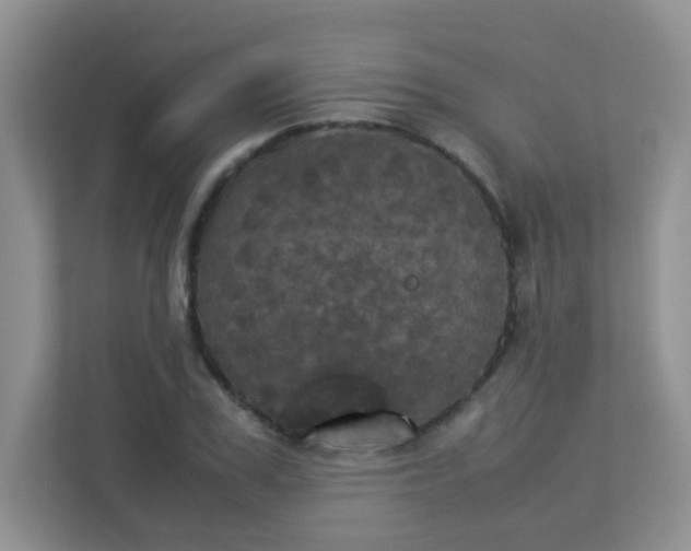 X0000113290979200909281008