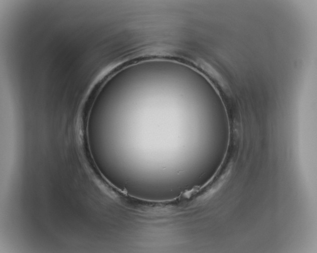 X0000113290981200909281008