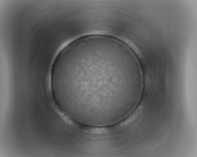 X0000113290982200909281008