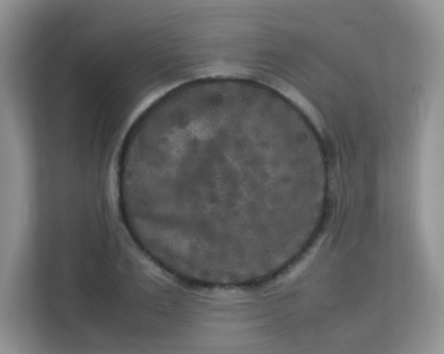 X0000113290983200909281008