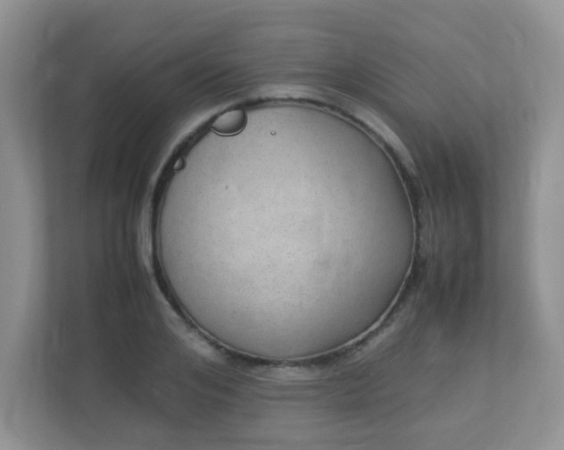 X0000113290984200909281008