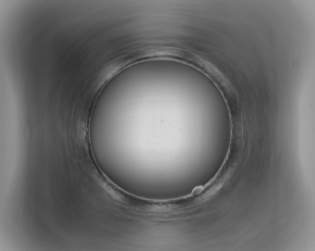 X0000113290985200909281008