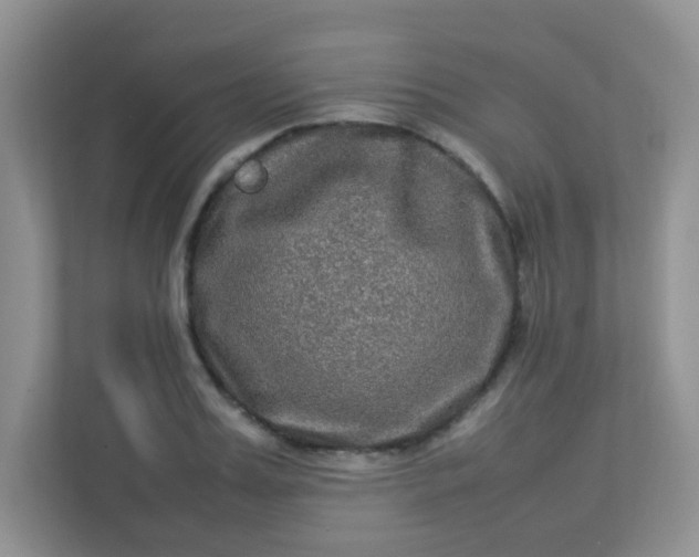 X0000113290987200909281008