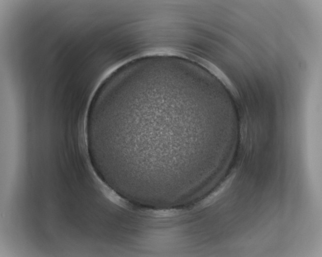 X0000113290988200909281008