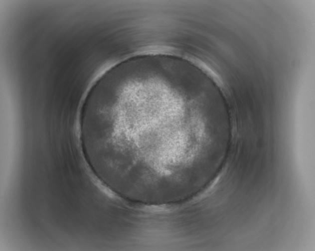 X0000113290990200909281008