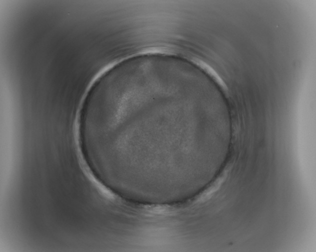 X0000113290991200909281008