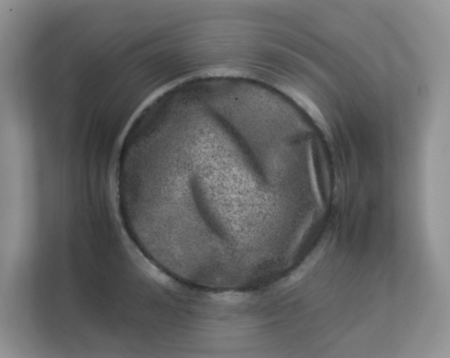 X0000113290992200909281008