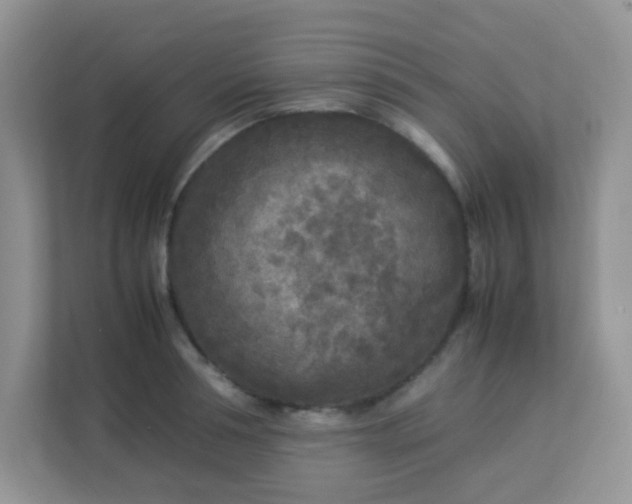 X0000113290994200909281008