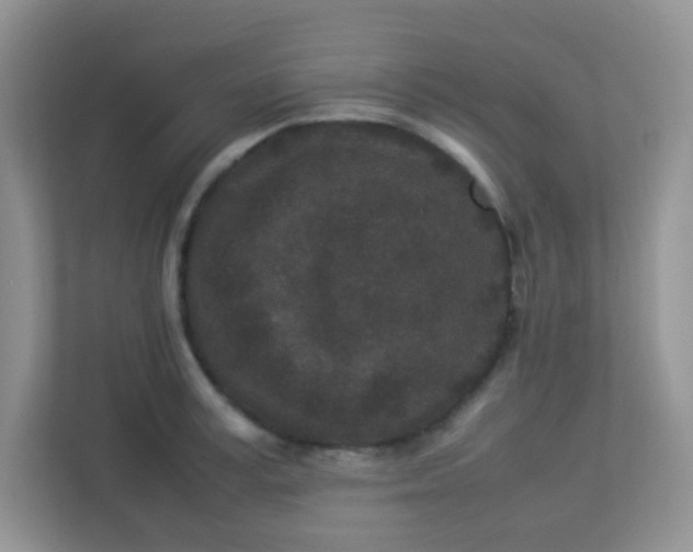 X0000113290995200909281008