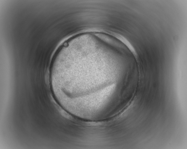 X0000113290996200909281008