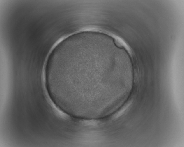 X0000113290999200909281008