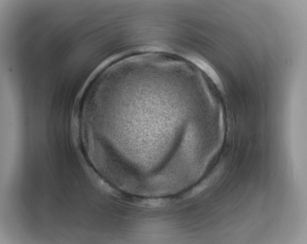 X0000113291000200909281008