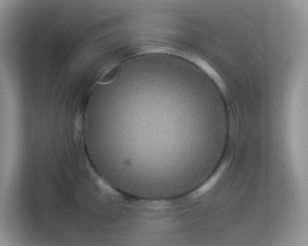 X0000113291001200909281008