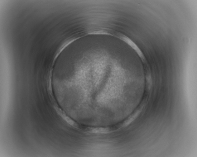 X0000113291002200909281008