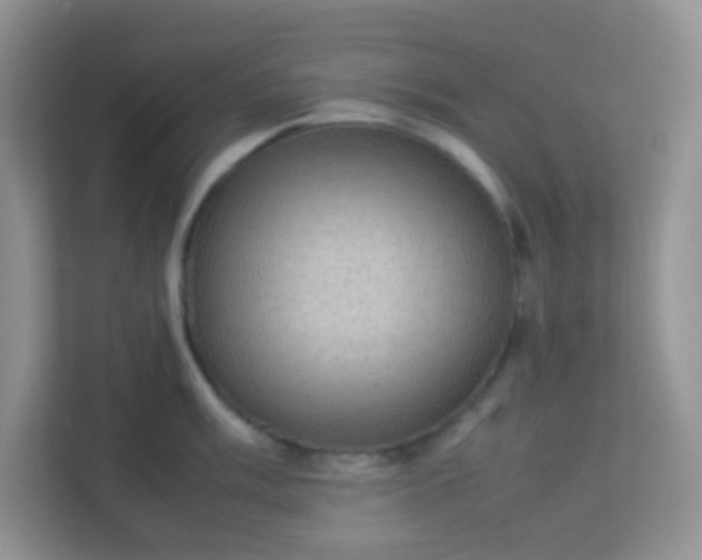 X0000113291003200909281008