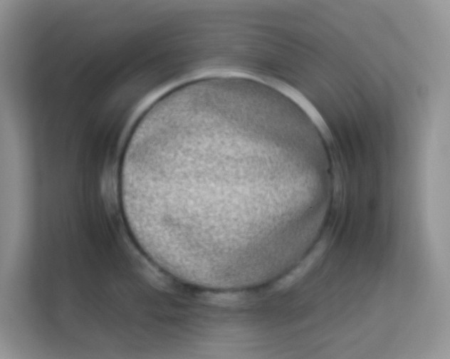 X0000113291004200909281008