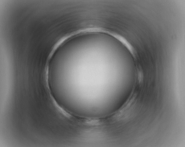 X0000113291006200909281008