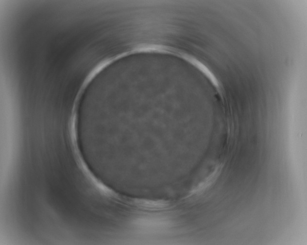 X0000113291007200909281008