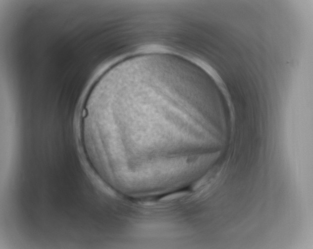 X0000113291008200909281008