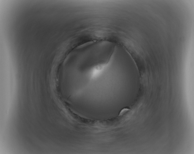 X0000113291009200909281007