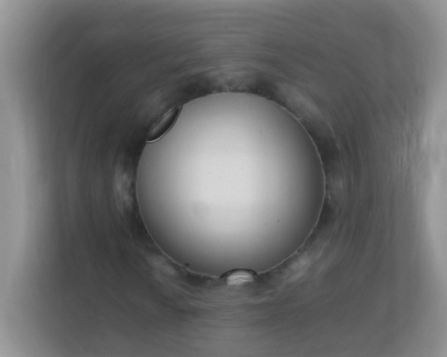 X0000113291010200909281007