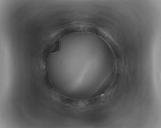 X0000113291013200909281008