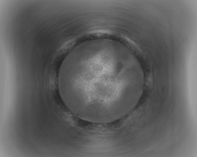 X0000113291014200909281008