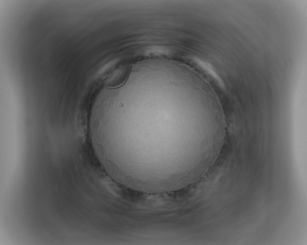 X0000113291015200909281008